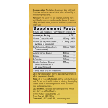Fatigued to Fantastic! Adrenal Stress-End